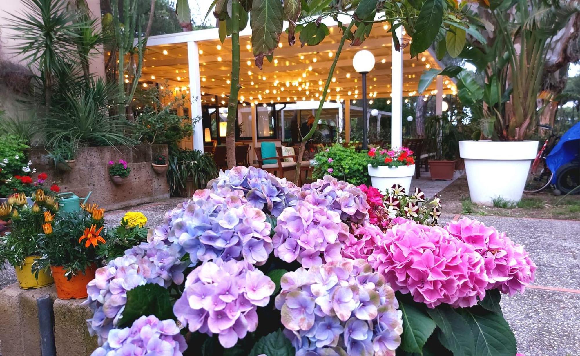 Hotel Giardino 2*