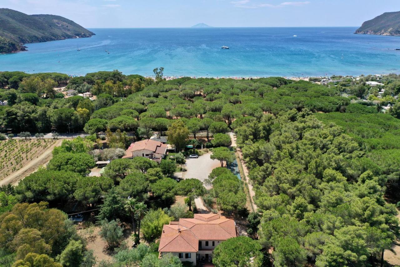 Giardino